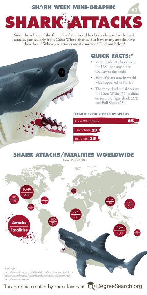 Shark Attack Compared to Other Risks – International Shark .